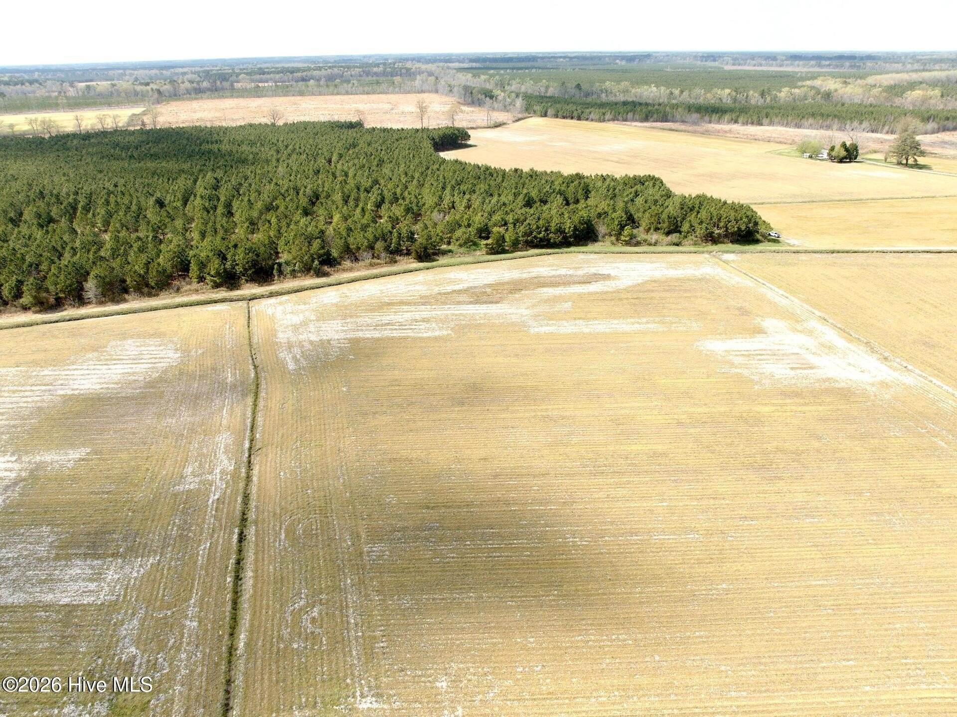 Productive Farmland and Mature Timberland