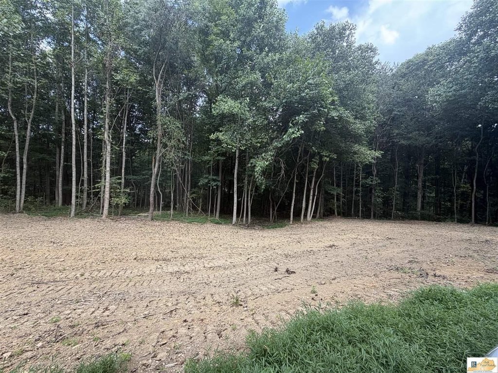 Picture 3