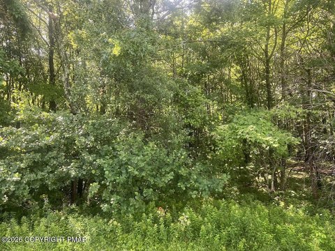 LAND - Long Pond, PA