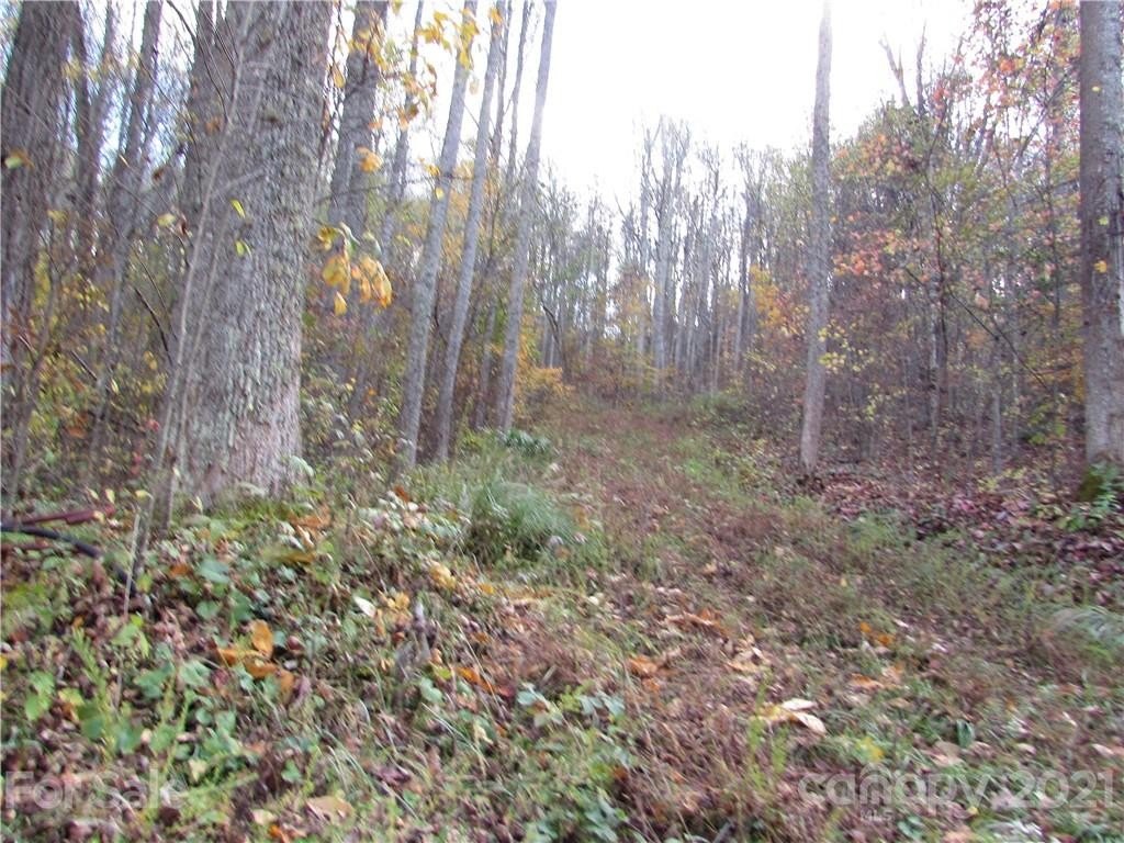 Mars Hill Land For Sale