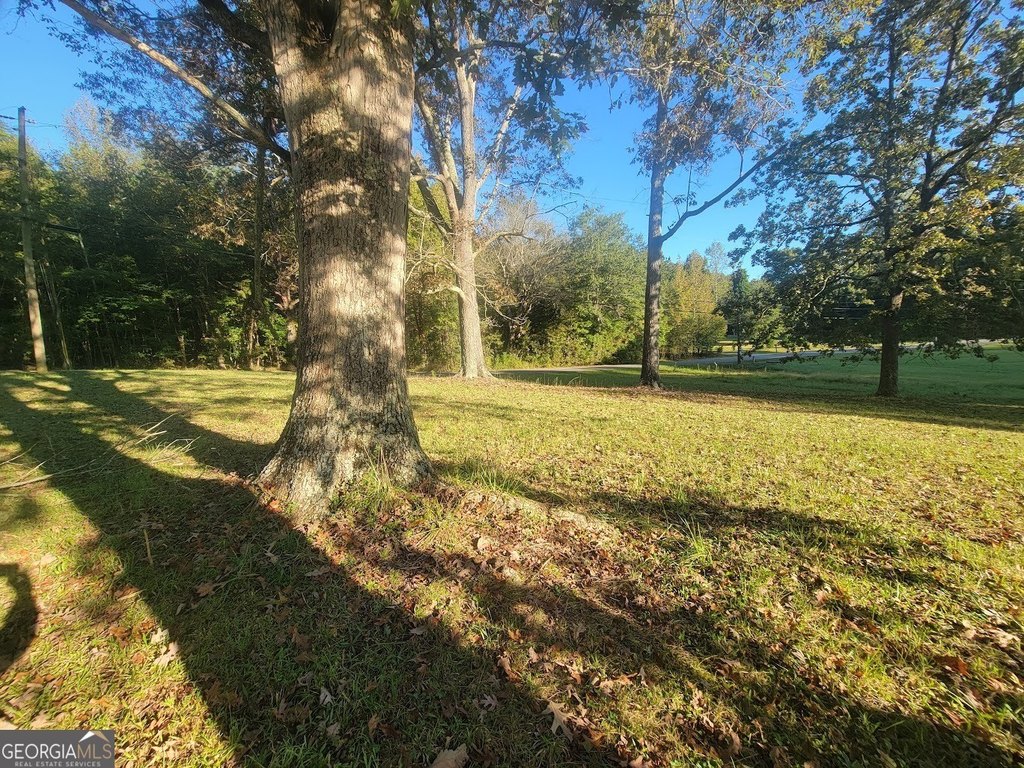 Picture 8