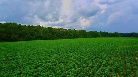 Recreational & Farmland Tract