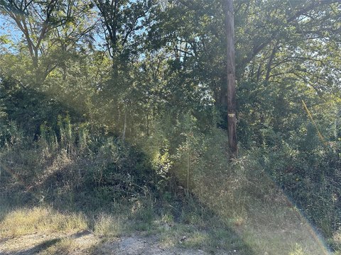 Land Near Cedar Creek Lake