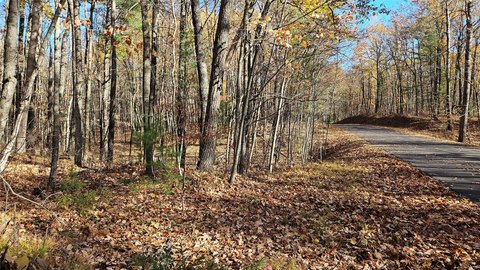 Land, Hayward, WI