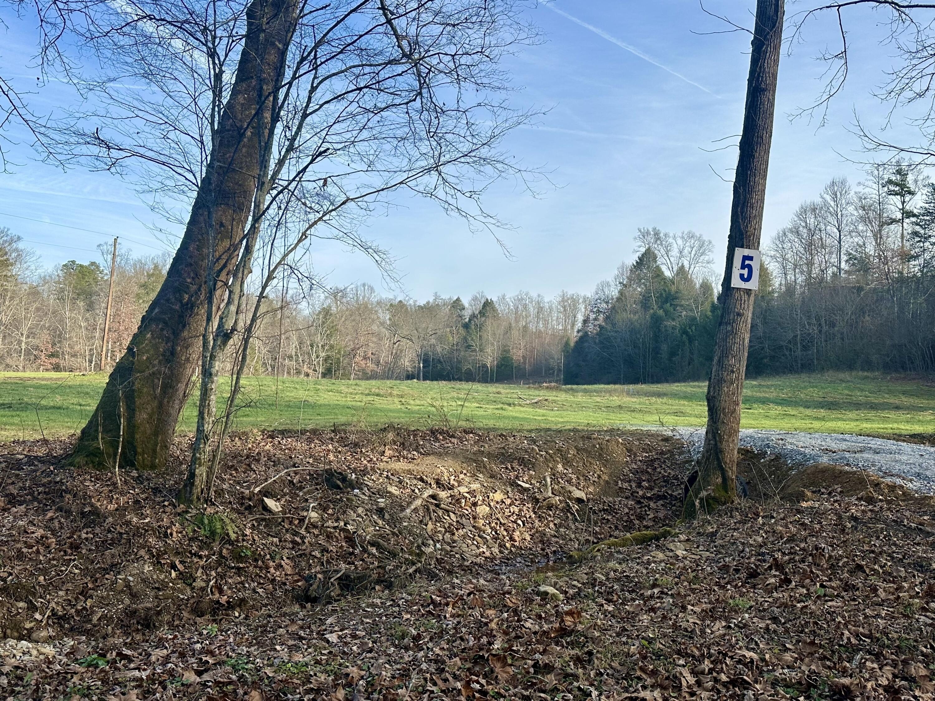 Residential Land in East Bernstadt