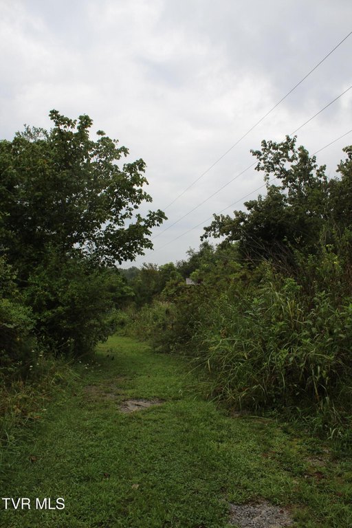 Picture 10