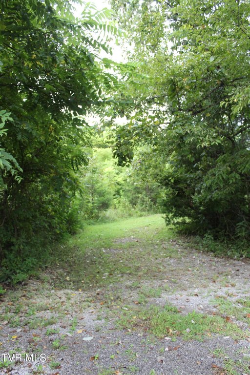 Picture 16
