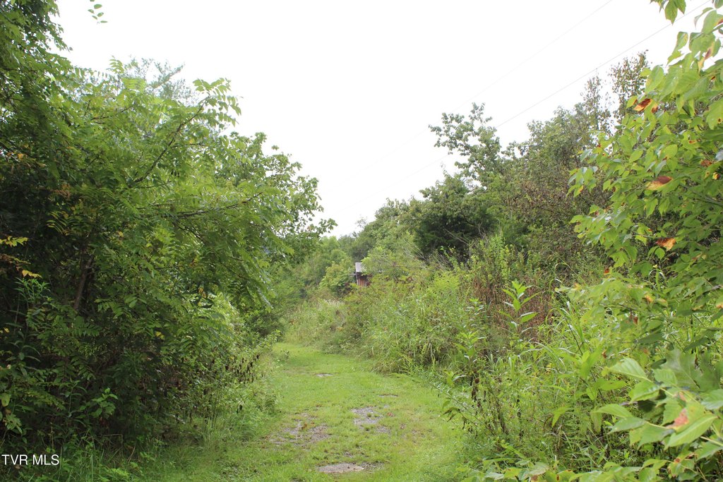 Picture 4