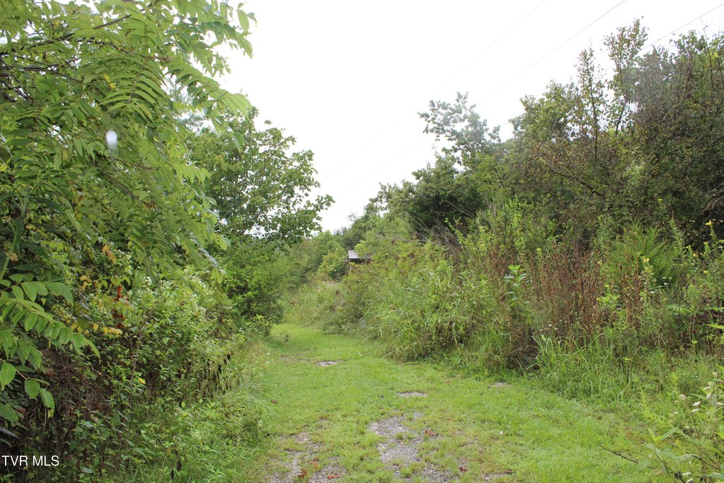 Picture 7