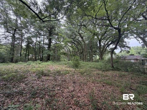 LAND - Spanish Fort, AL