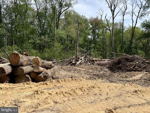 Cleared Lot Near Cedar Beach