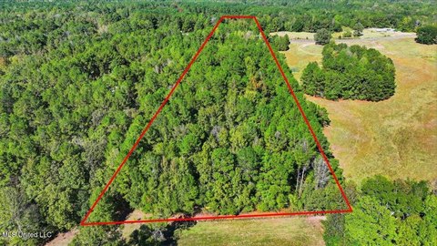 8 Acres in Rankin County