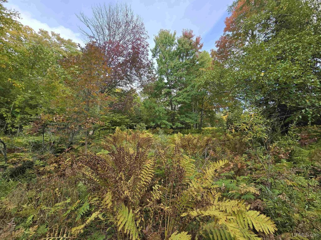 Picture 4