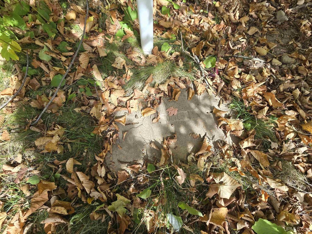 Picture 23