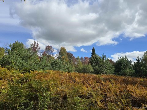 VACANT LAND, Bruce Crossing, MI