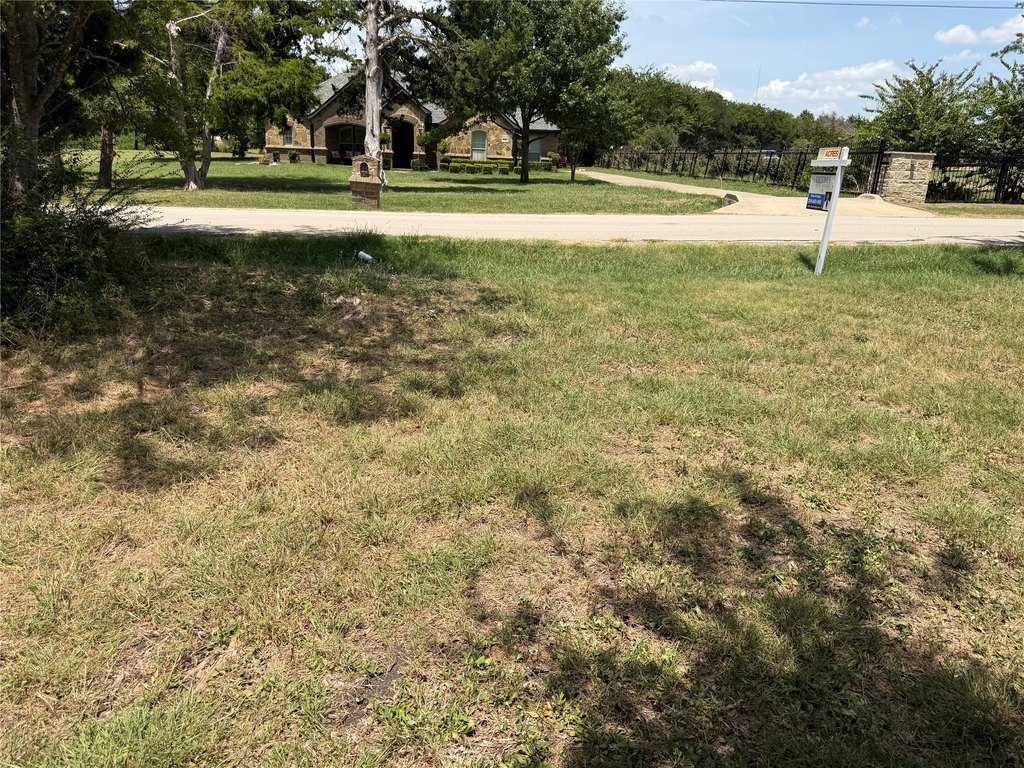 Picture 5