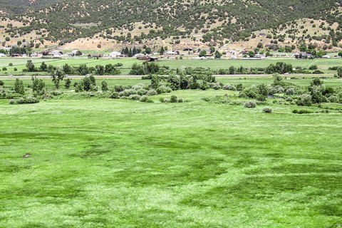 Agricultural Land with Weber River Frontage