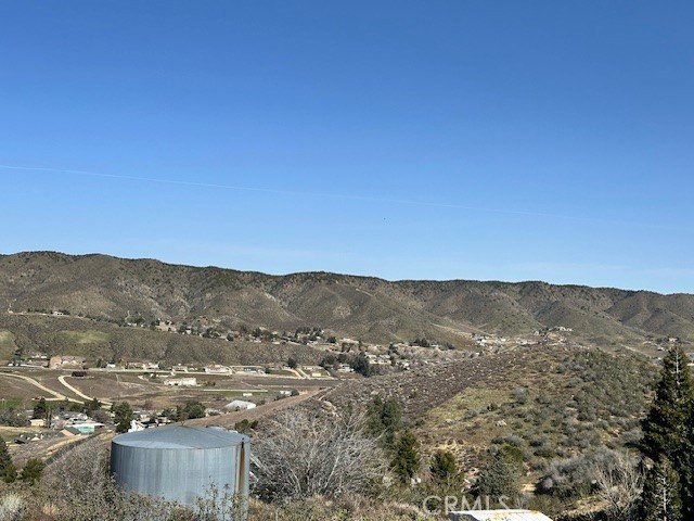 Picture 4