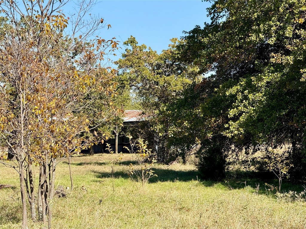 Picture 10