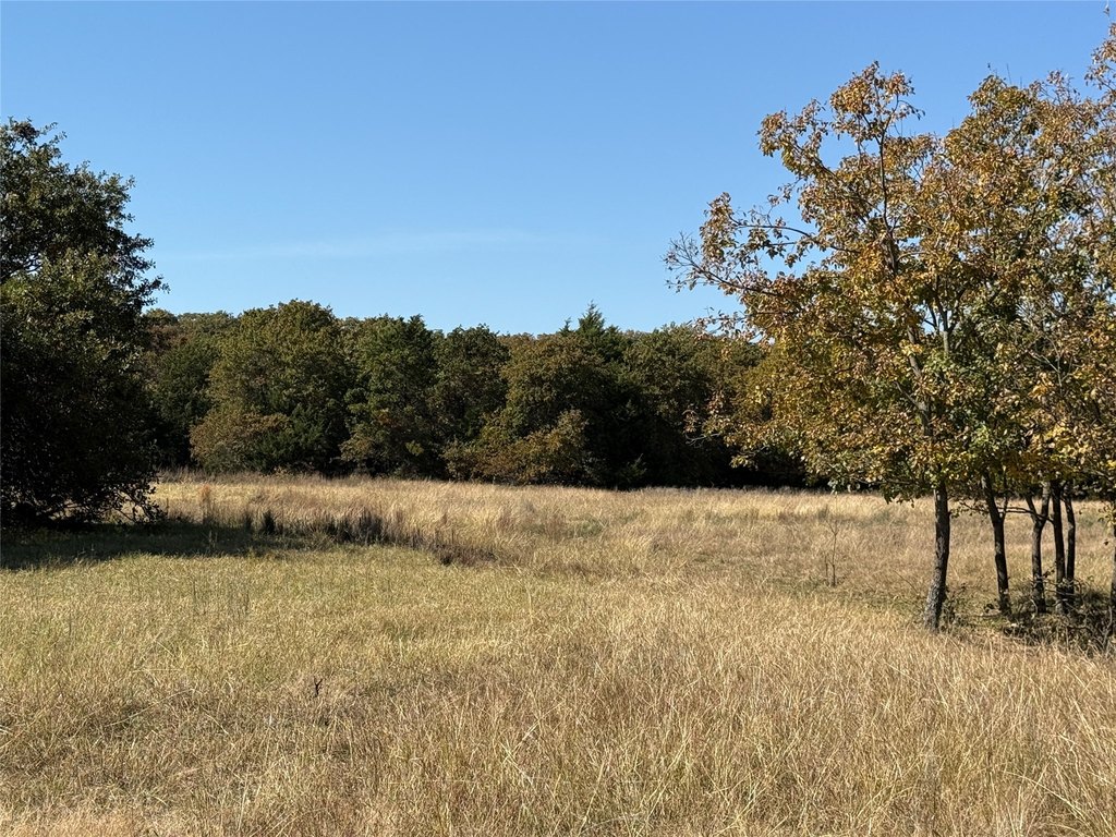 Picture 25