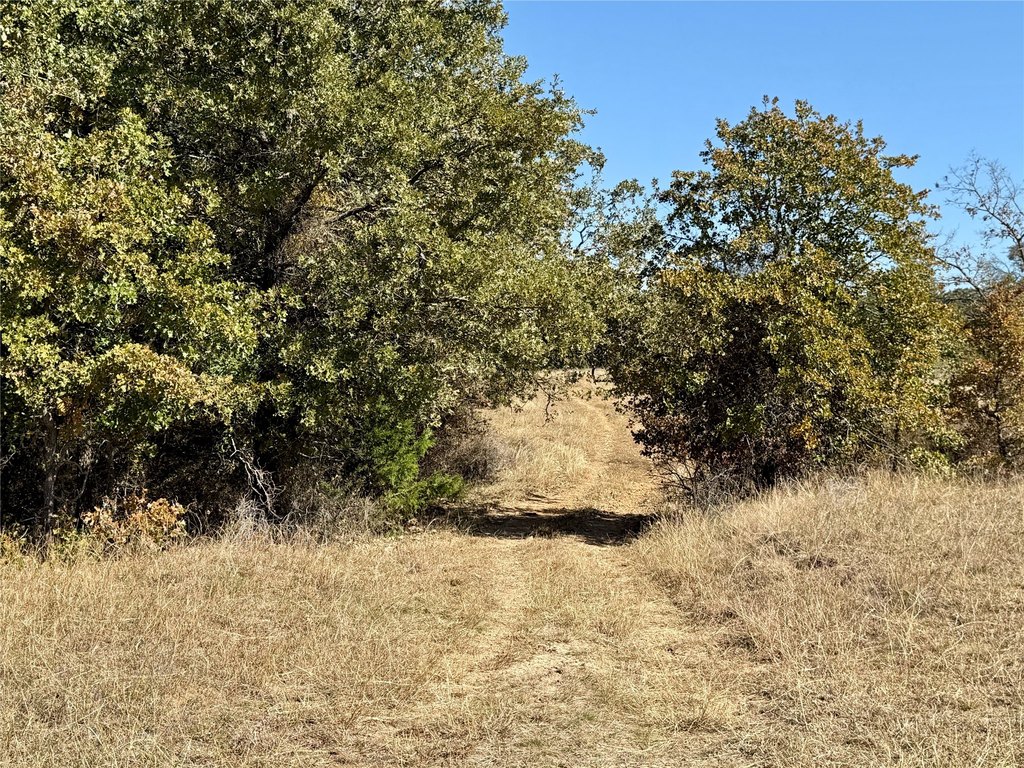Picture 27