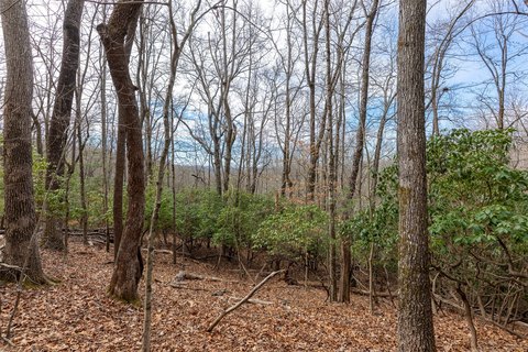 50 Acres in Glen Cannon