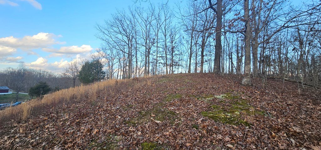 Picture 8