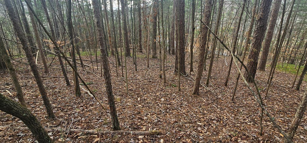 Picture 13