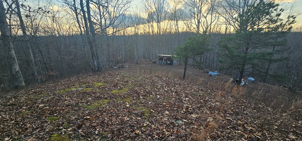 Picture 6