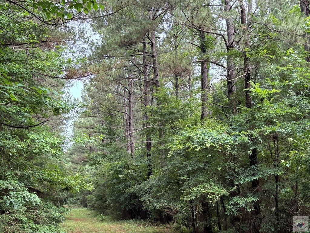 Picture 23