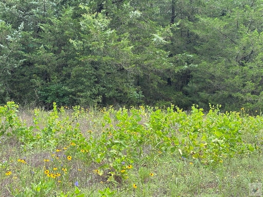 Picture 12