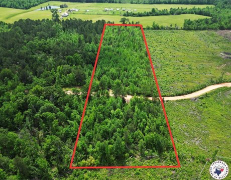 8 Acres Hunting Land in Arkansas