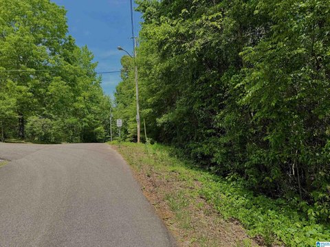 Piedmont Land Near Chief Ladiga