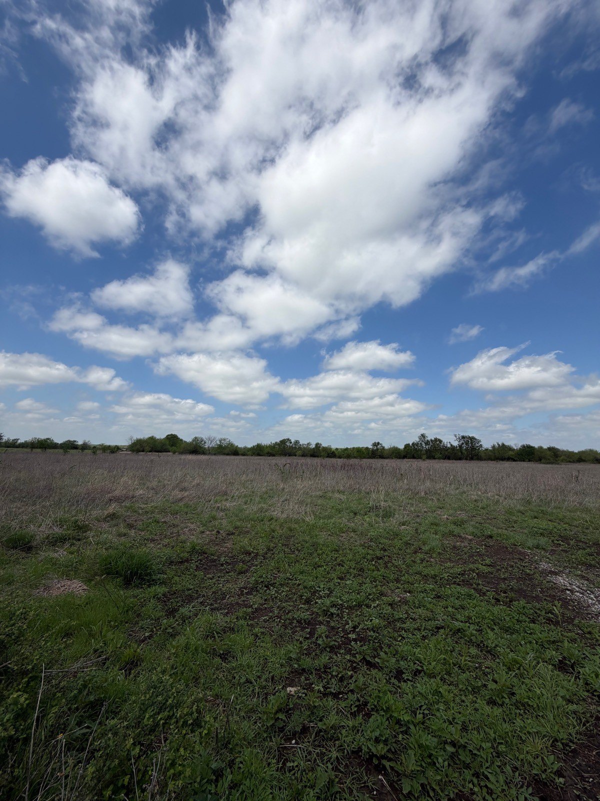 Versatile Land with Pasture and Woods