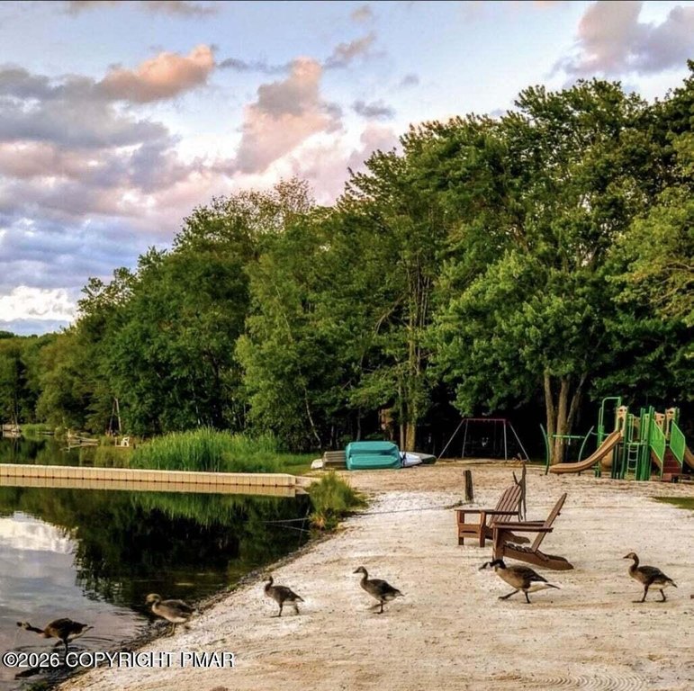 Picture 19