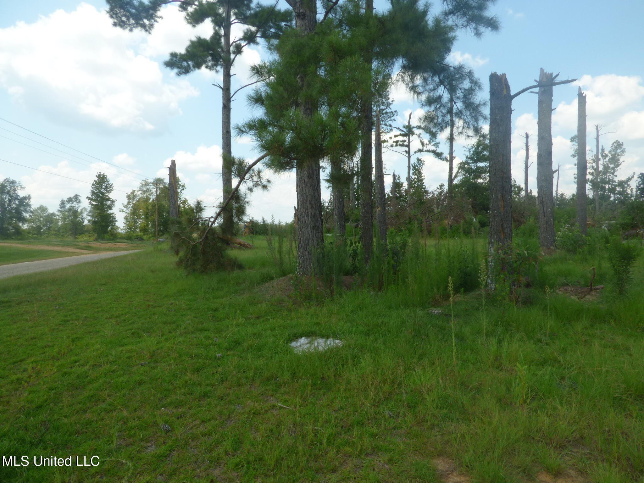 16.5 Acres in Tylertown, MS
