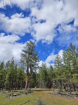 5 Acre Meadow in Goldendale