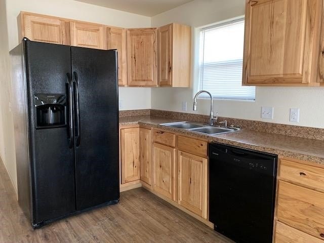 Picture 8