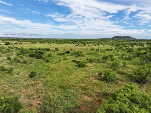 LAND - Tuscola, TX