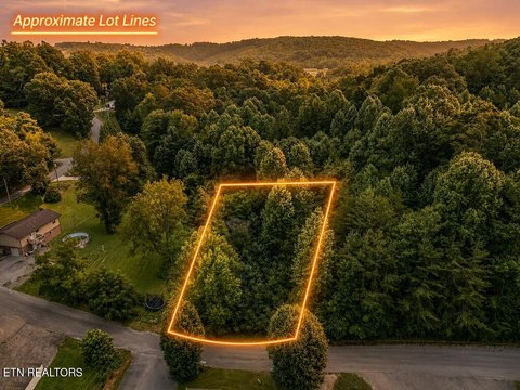 Lots & Acreage, New Tazewell, TN