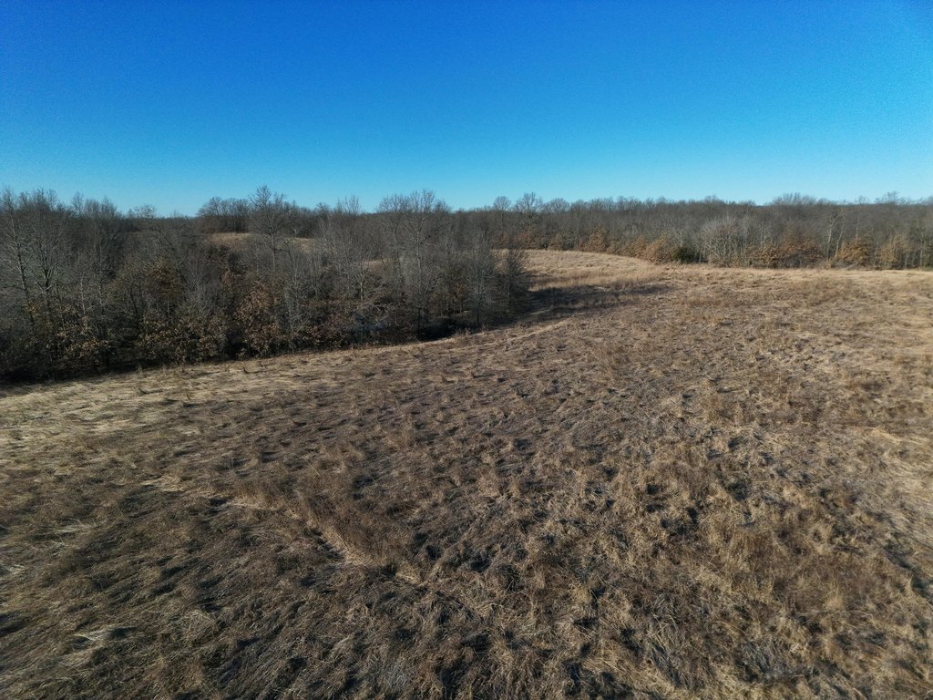Picture 13