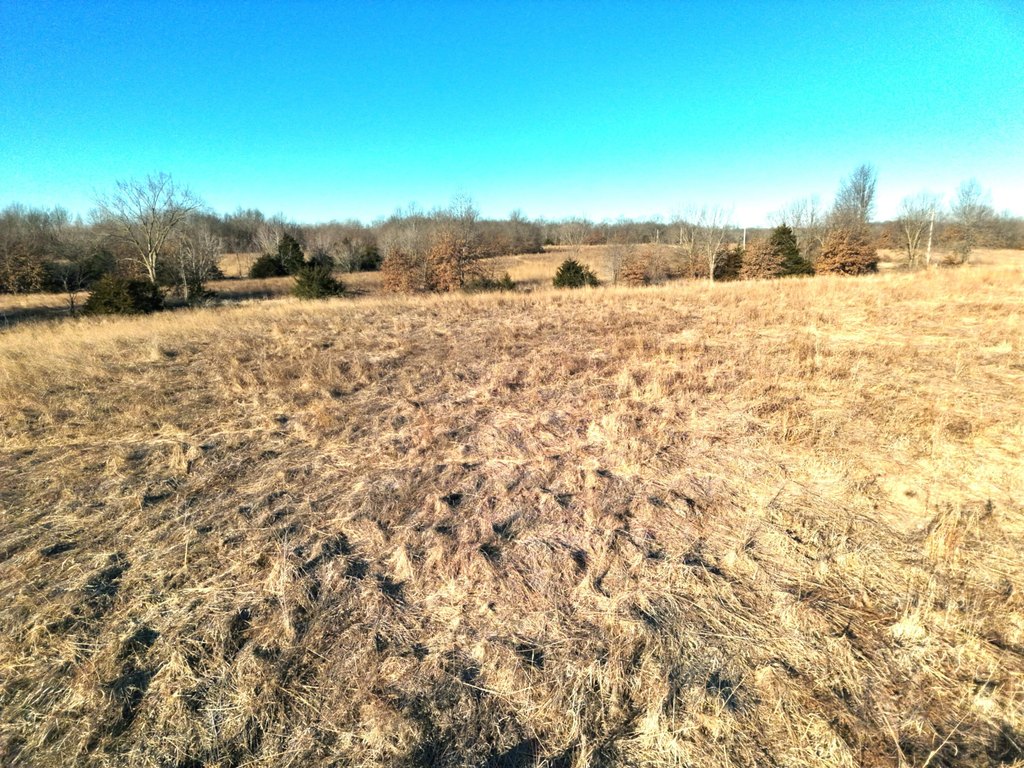 Picture 14