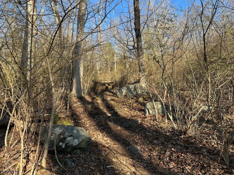 Picture 4