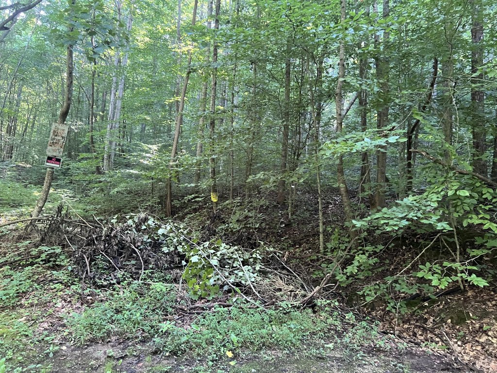 Picture 4