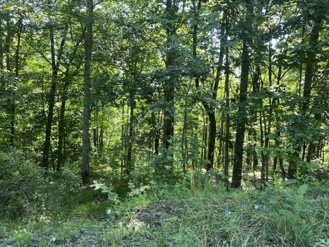 Vacant Land Parcels