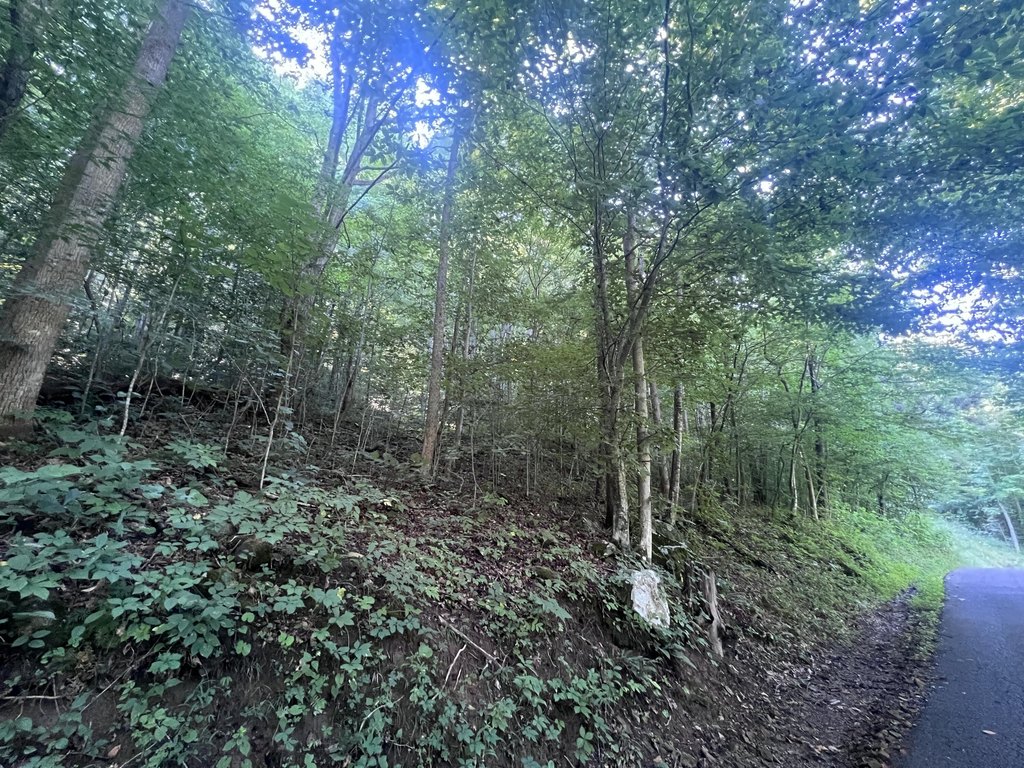 Picture 3