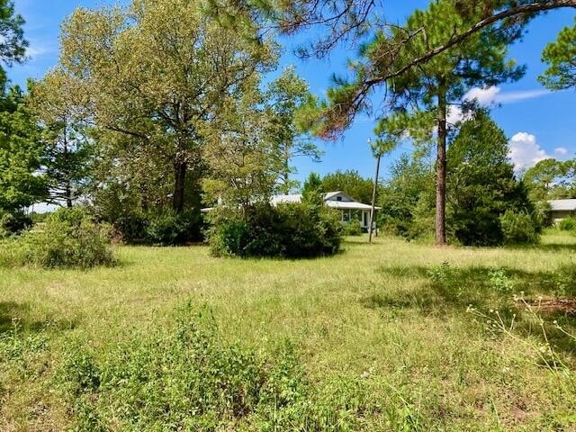 Picture 11