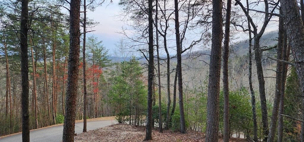 Land with Waterfall Park Access