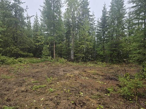 Hunting Land Parcel with Creek