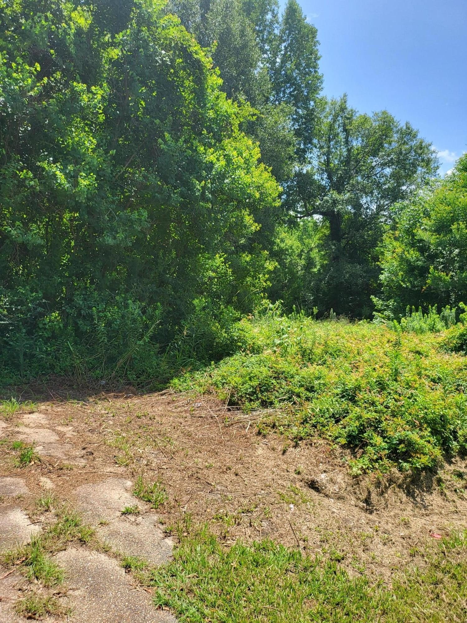Residential Land in Petal, MS